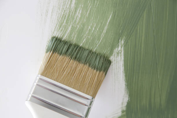 Best Commercial Mold Inspection  in Loogootee, IN