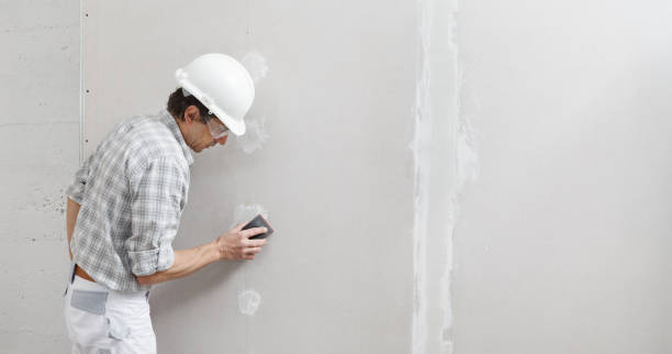 Best Industrial Mold Remediation  in Loogootee, IN