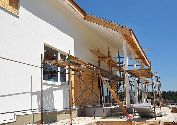 Best Basement Mold Removal  in Loogootee, IN