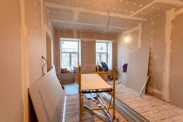 Best Emergency Mold Remediation  in Loogootee, IN
